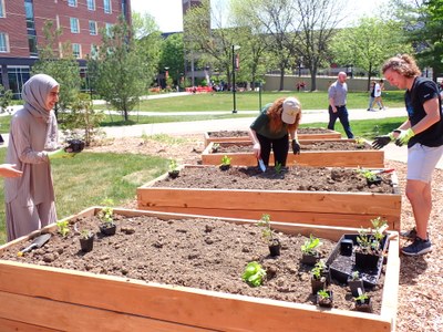 Image of community garden