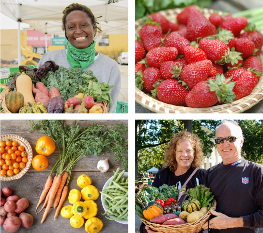 Picture of Barr Farms CSA, Kentucky